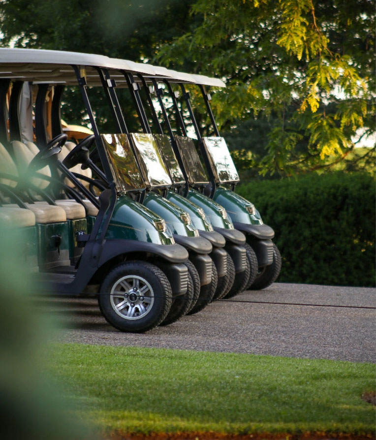 Row of golf carts in front of a wall of shrubbery